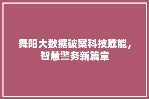 舞阳大数据破案科技赋能，智慧警务新篇章