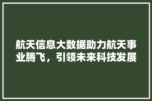 航天信息大数据助力航天事业腾飞，引领未来科技发展