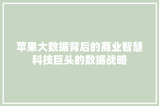 苹果大数据背后的商业智慧科技巨头的数据战略
