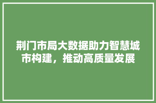 荆门市局大数据助力智慧城市构建，推动高质量发展