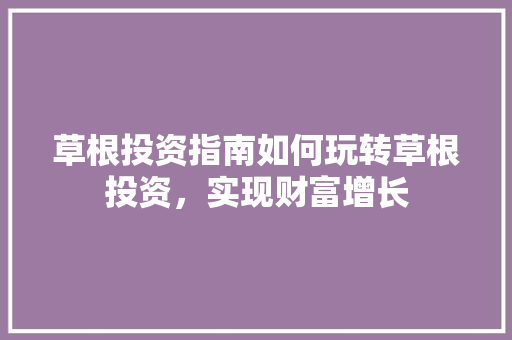 草根投资指南如何玩转草根投资，实现财富增长