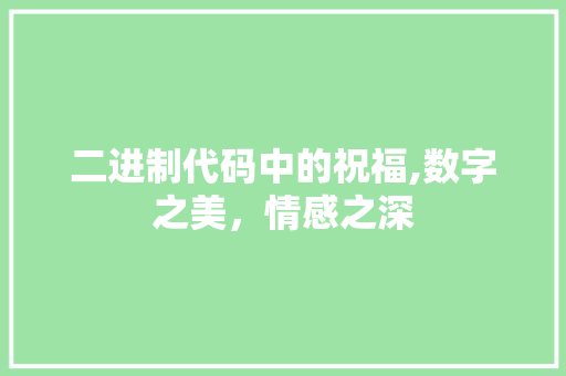 二进制代码中的祝福,数字之美，情感之深