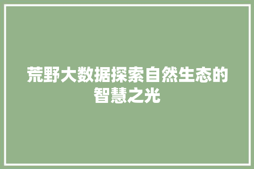 荒野大数据探索自然生态的智慧之光