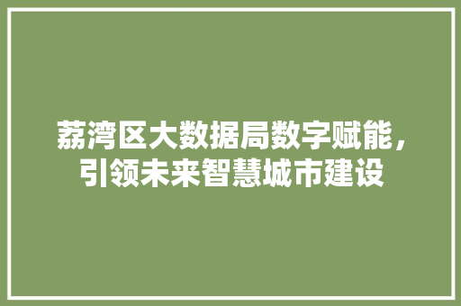 荔湾区大数据局数字赋能，引领未来智慧城市建设