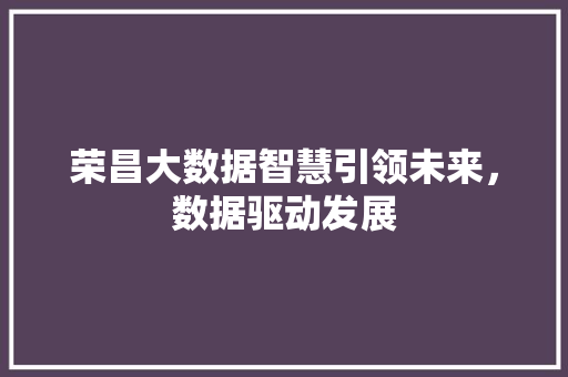 荣昌大数据智慧引领未来，数据驱动发展