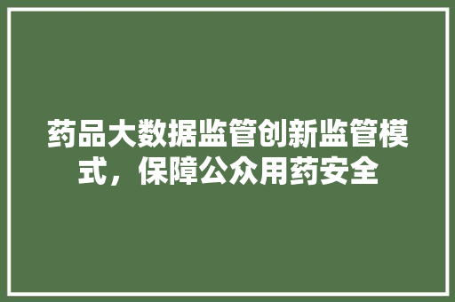 药品大数据监管创新监管模式，保障公众用药安全