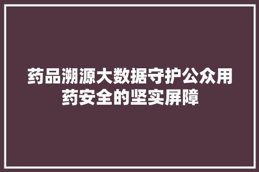 药品溯源大数据守护公众用药安全的坚实屏障