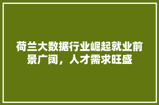 荷兰大数据行业崛起就业前景广阔，人才需求旺盛