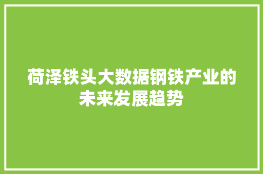 荷泽铁头大数据钢铁产业的未来发展趋势