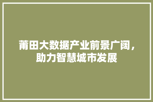 莆田大数据产业前景广阔，助力智慧城市发展