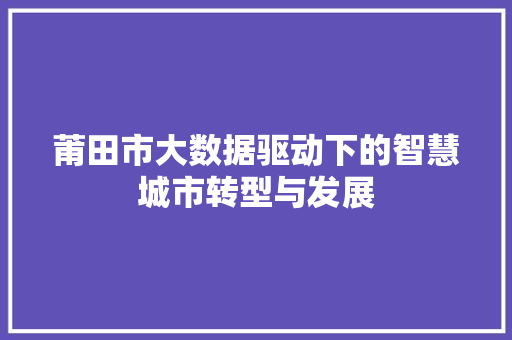 莆田市大数据驱动下的智慧城市转型与发展