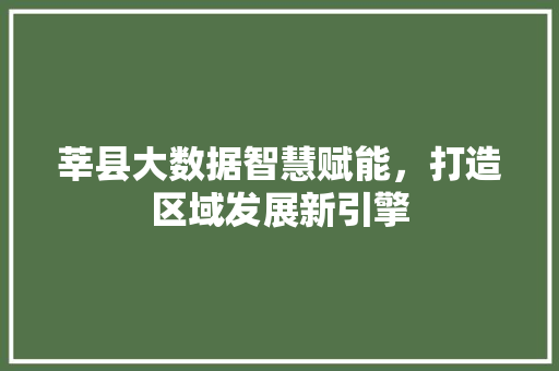 莘县大数据智慧赋能，打造区域发展新引擎