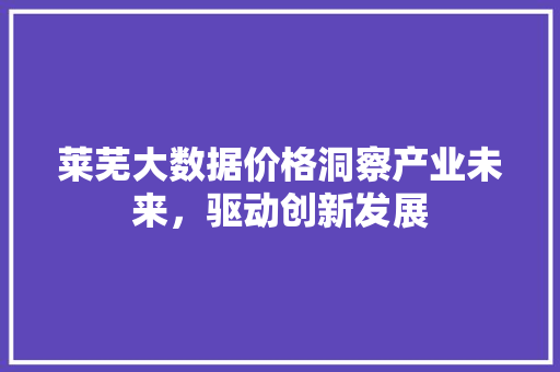 莱芜大数据价格洞察产业未来，驱动创新发展