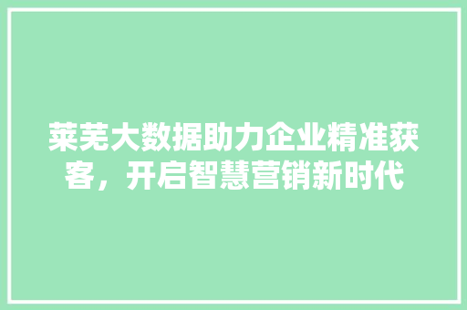 莱芜大数据助力企业精准获客，开启智慧营销新时代