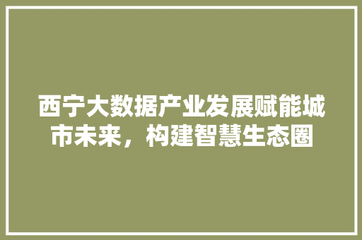 西宁大数据产业发展赋能城市未来，构建智慧生态圈
