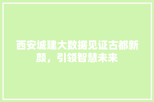 西安城建大数据见证古都新颜，引领智慧未来