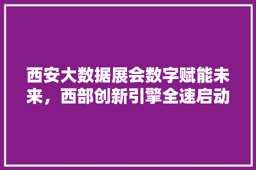 西安大数据展会数字赋能未来，西部创新引擎全速启动