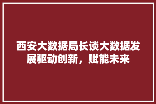 西安大数据局长谈大数据发展驱动创新，赋能未来