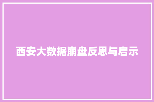 西安大数据崩盘反思与启示