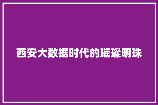 西安大数据时代的璀璨明珠