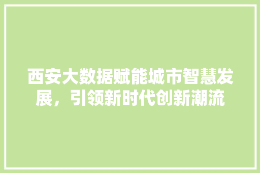 西安大数据赋能城市智慧发展，引领新时代创新潮流