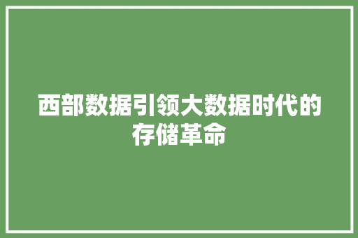西部数据引领大数据时代的存储革命