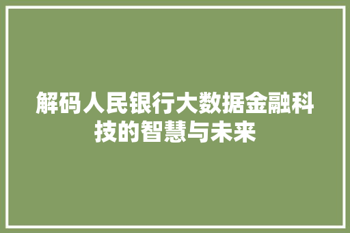 解码人民银行大数据金融科技的智慧与未来