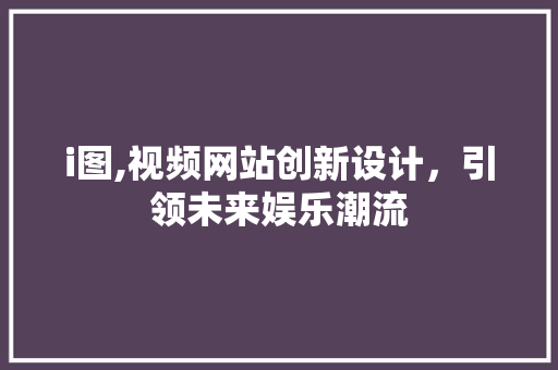 i图,视频网站创新设计，引领未来娱乐潮流 项目报告