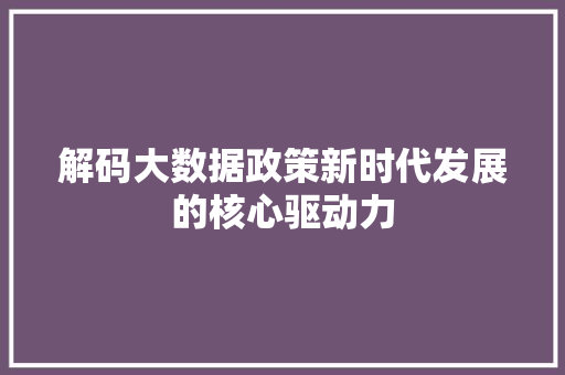 解码大数据政策新时代发展的核心驱动力