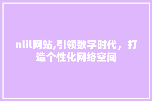 nlil网站,引领数字时代，打造个性化网络空间 网站建设