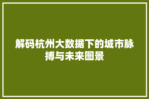 解码杭州大数据下的城市脉搏与未来图景