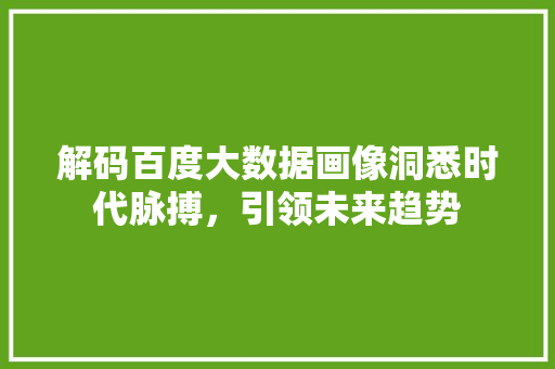 解码百度大数据画像洞悉时代脉搏，引领未来趋势