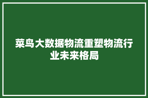 菜鸟大数据物流重塑物流行业未来格局