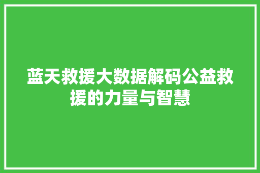 蓝天救援大数据解码公益救援的力量与智慧