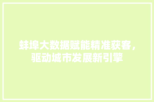 蚌埠大数据赋能精准获客，驱动城市发展新引擎
