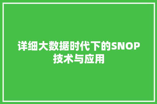 详细大数据时代下的SNOP技术与应用