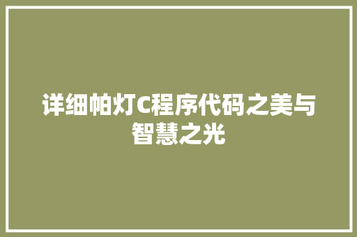 详细帕灯C程序代码之美与智慧之光