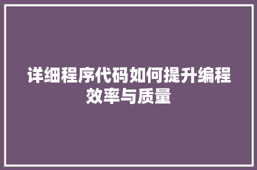 详细程序代码如何提升编程效率与质量
