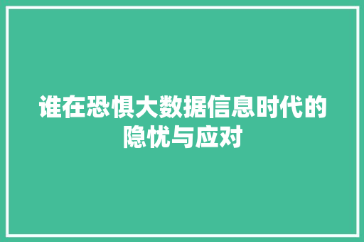 谁在恐惧大数据信息时代的隐忧与应对