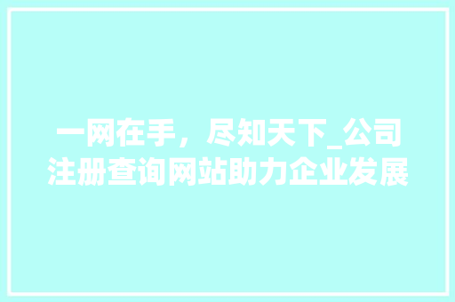 一网在手，尽知天下_公司注册查询网站助力企业发展 响应式设计