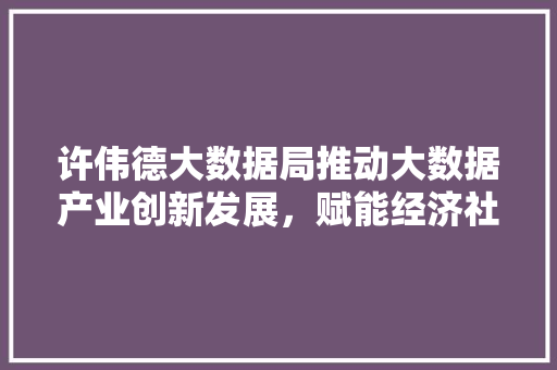 许伟德大数据局推动大数据产业创新发展，赋能经济社会高质量发展