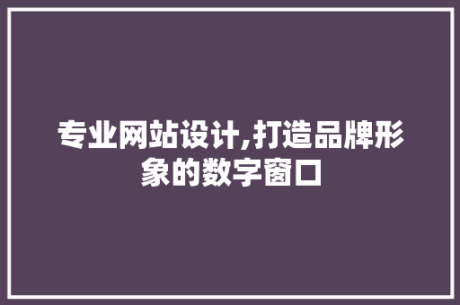 专业网站设计,打造品牌形象的数字窗口