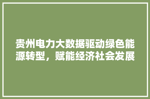 贵州电力大数据驱动绿色能源转型，赋能经济社会发展