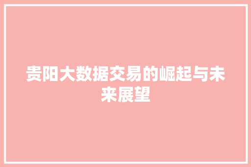 贵阳大数据交易的崛起与未来展望