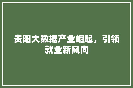 贵阳大数据产业崛起，引领就业新风向