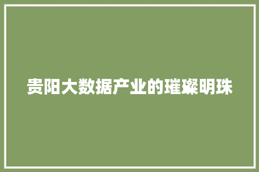 贵阳大数据产业的璀璨明珠