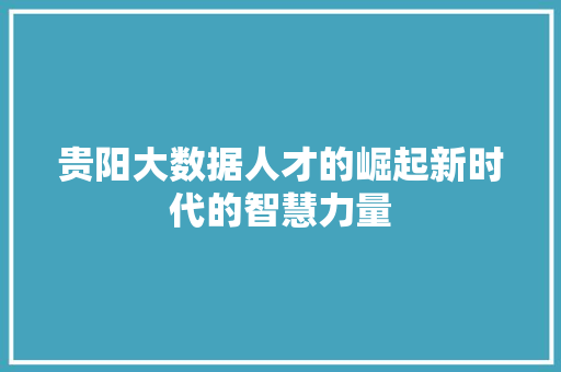 贵阳大数据人才的崛起新时代的智慧力量