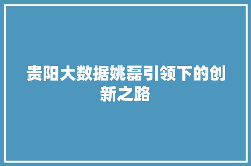 贵阳大数据姚磊引领下的创新之路