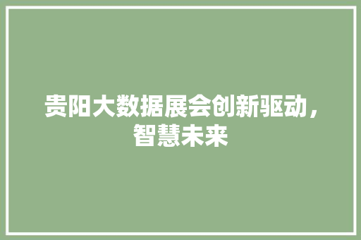 贵阳大数据展会创新驱动，智慧未来