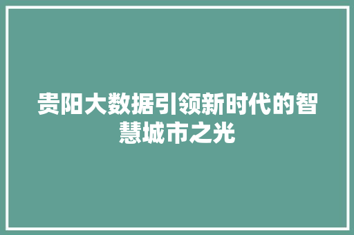 贵阳大数据引领新时代的智慧城市之光